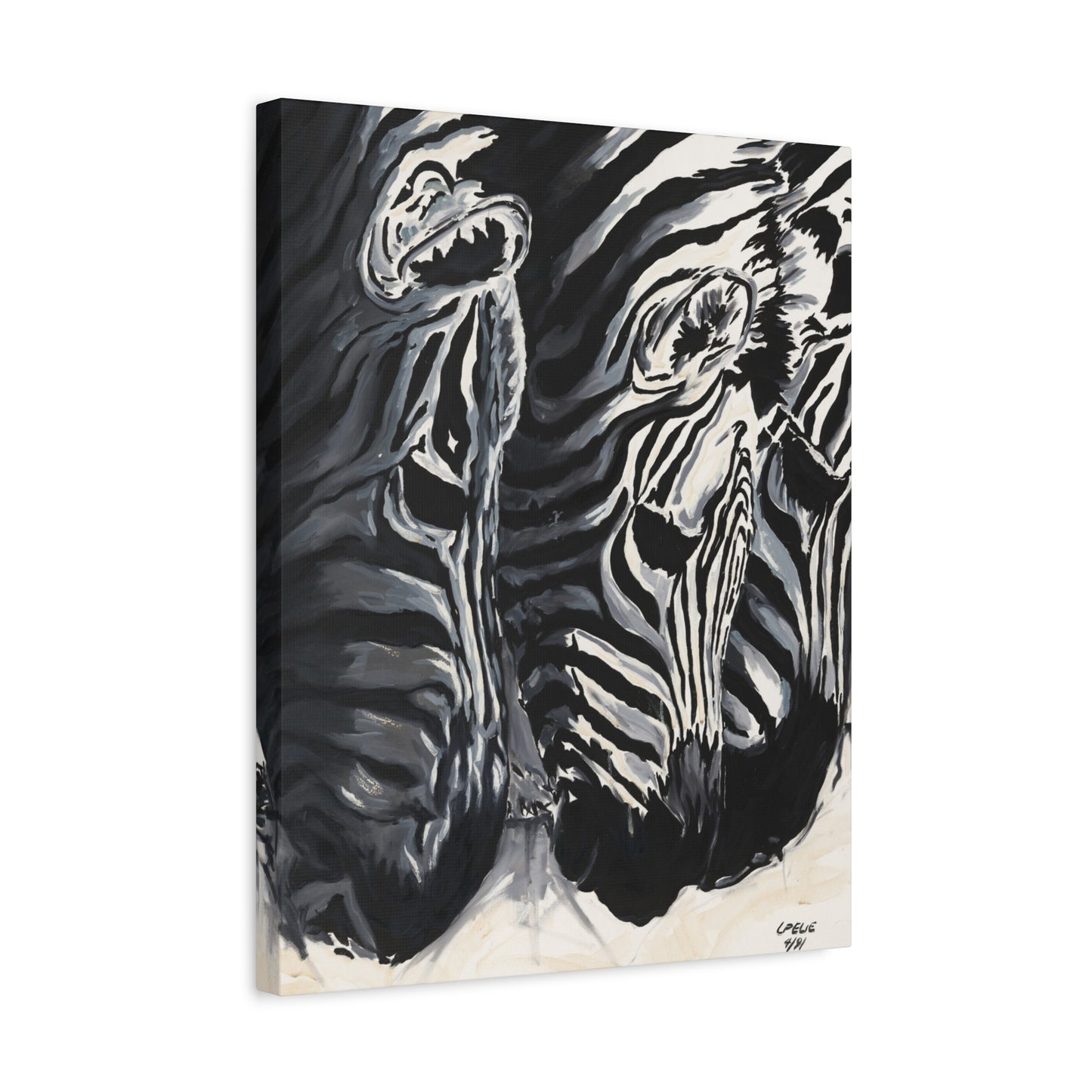 Baby Zebras - Matte Canvas Print