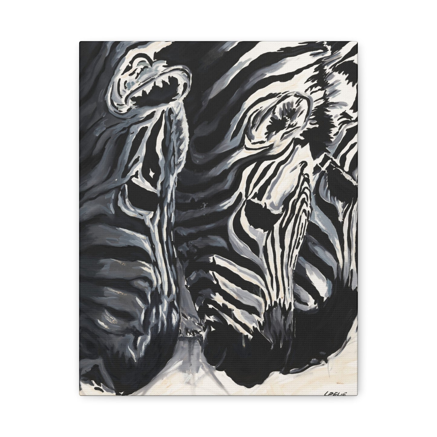 Baby Zebras - Matte Canvas Print